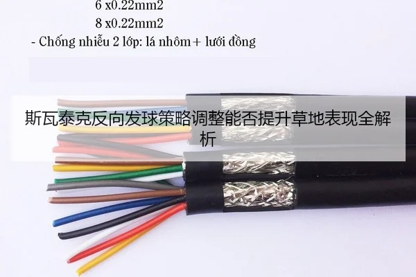 si-wa-tai-ke-fan-xiang-fa-qiu-ce-lve-tiao-zheng-neng-fou-ti-sheng-cao-di-biao-xian-quan-jie-xi-2-535.jpg