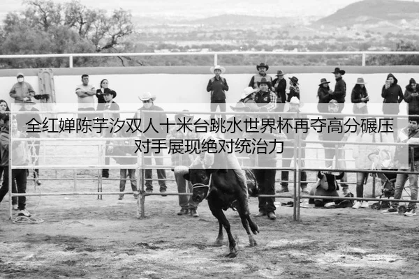 全红婵陈芋汐双人十米台跳水世界杯再夺高分碾压对手展现绝对统治力